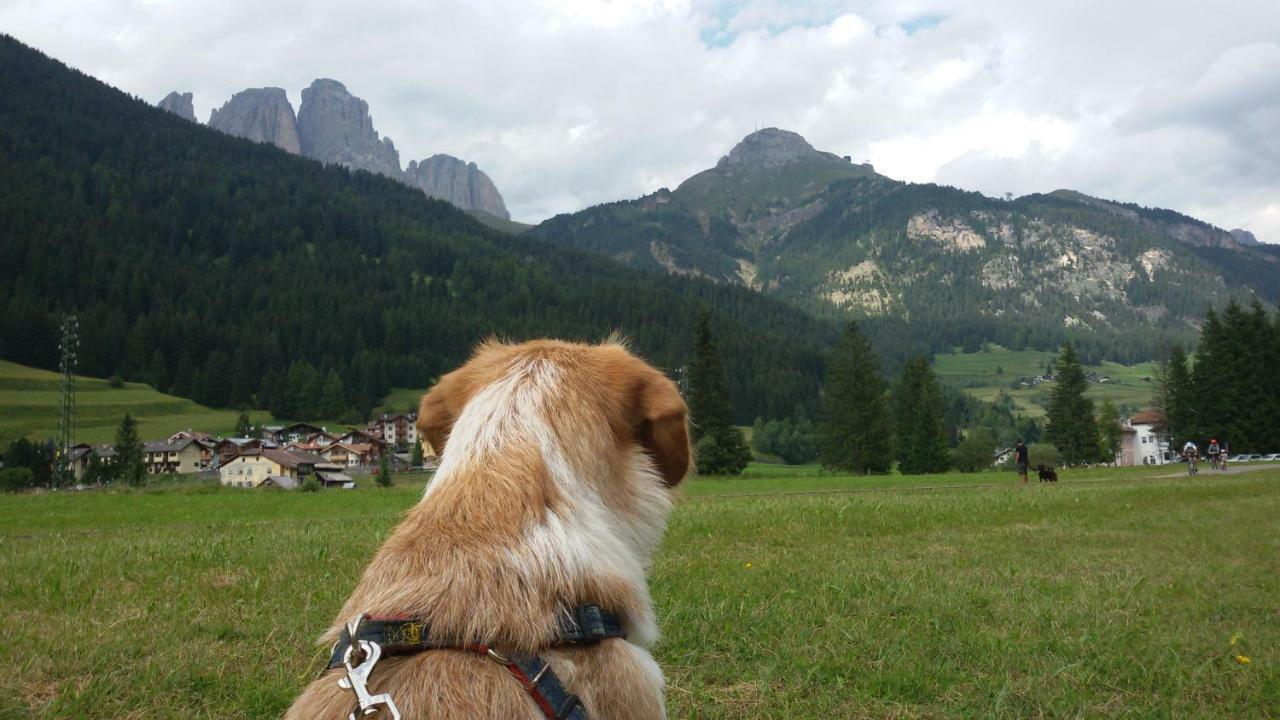 Ferienwohnung Casamau Trilo Campitello di Fassa Exterior foto