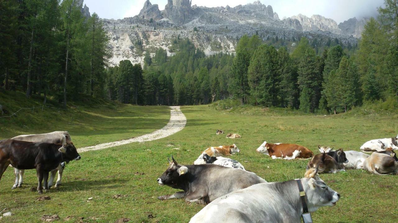 Ferienwohnung Casamau Trilo Campitello di Fassa Exterior foto